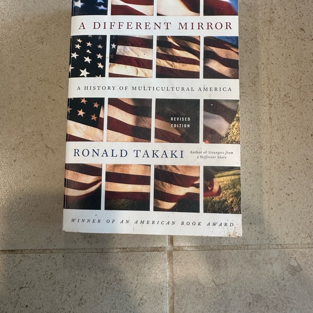 A different Mirror by Ronald Takaki
